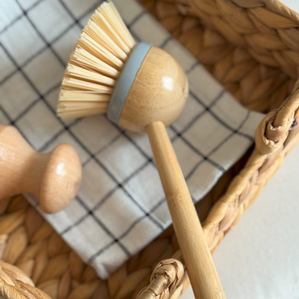 فرچه دسته دار ws019