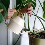 آبپاش طرح ایکیا