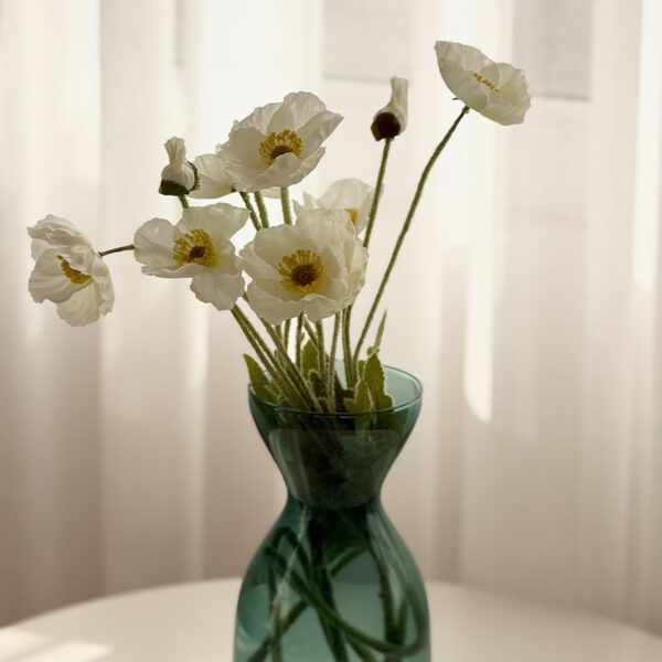 گل شقایق وارداتی